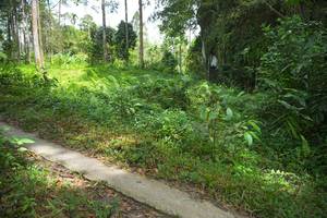 BIB: 
                            <button type="button" onclick="openModal(21744900)" class="btn btn-primary btn-sm float-right btn-popup" data-toggle="modal" data-target=".modal-high-quality">
                        <i class="fas fa-shopping-cart"></i> Add to Cart
                    </button>
                                            <button type="button" onclick="isThisMe(21744900, true)" class="btn btn-success btn-sm float-right btn-popup btn-isme hidden" data-toggle="tooltip" data-placement="bottom" title="นี่คือรูปของคุณใช่ไหม คลิกที่นี่เพื่อเอาเข้าอัลบั้ม">
                        <i class="fas fa-plus"></i> Add to album
                    </button>
                    <button type="button" onclick="isThisMe(21744900, false)" class="btn btn-warning btn-sm float-right btn-popup btn-isnotme hidden">
                        <i class="fas fa-ban"></i> Remove from album
                    </button>